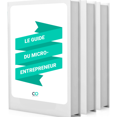 le_guide_du_micro_entrepreneur